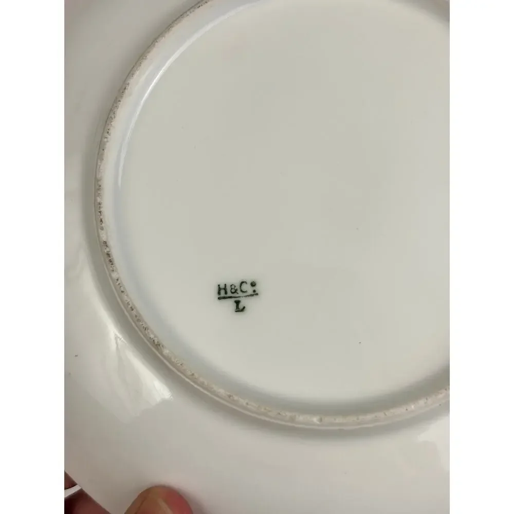 Antique H & C Haviland Limoges France 7.5